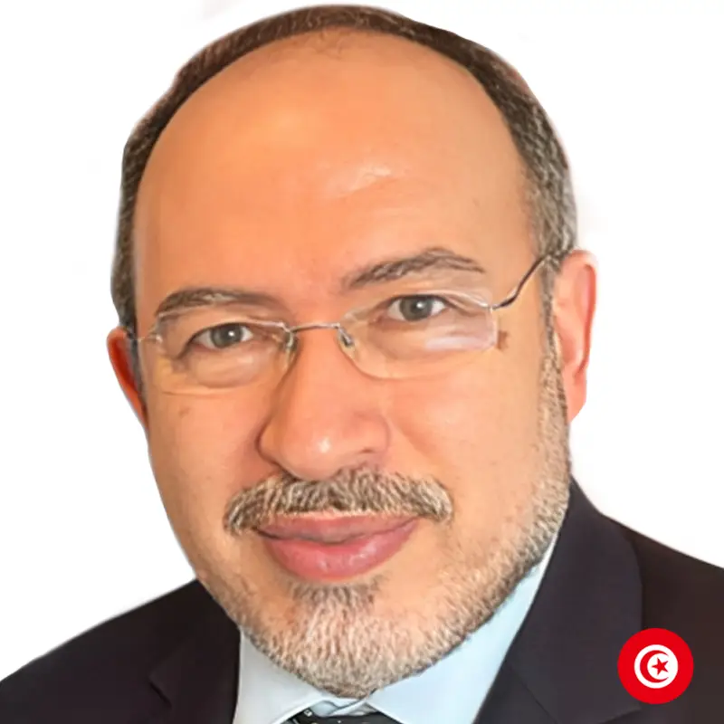 Tawfik Jelassi